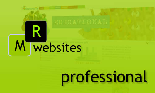 Professional tailor made web design. Responsive webdesign, multilingual development & design. MR Websites Content Management Systems (CMS) in your back office